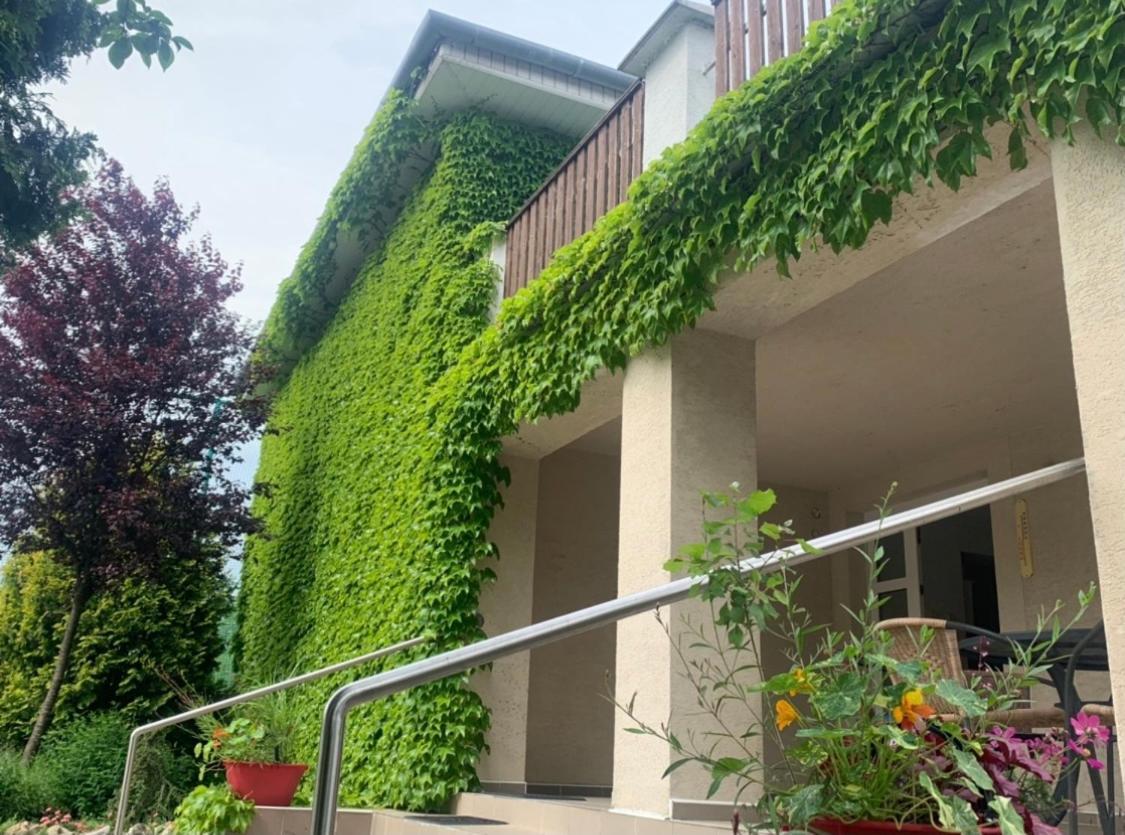 Dom V Zahrade Hotel Podhajska Exterior photo